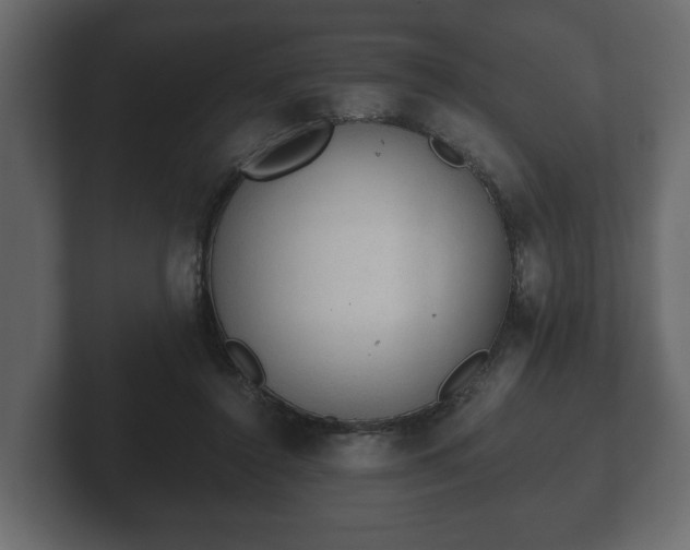 X0000103160356200808291455