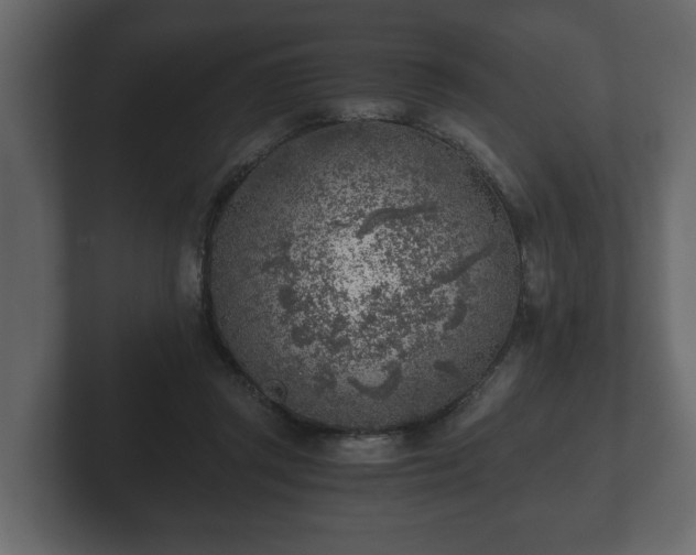 X0000103160357200808291455