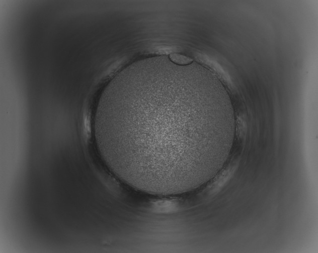 X0000103160358200808291455