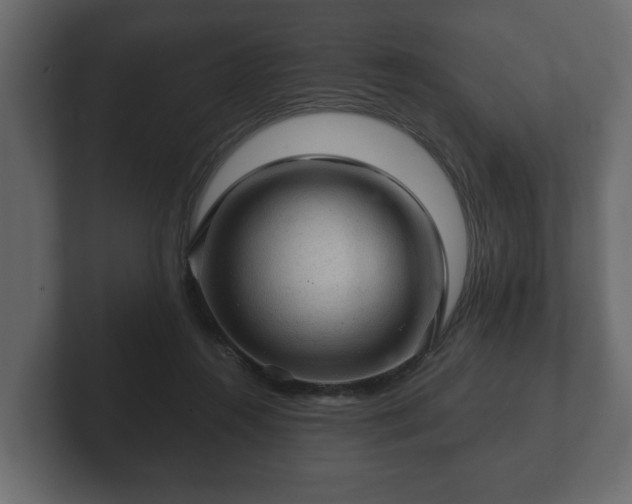 X0000103160360200808291455