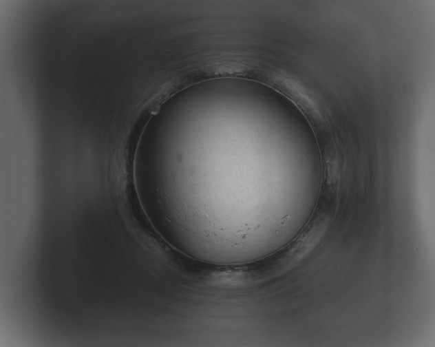 X0000103160362200808291455