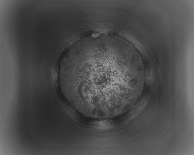 X0000103160365200808291455