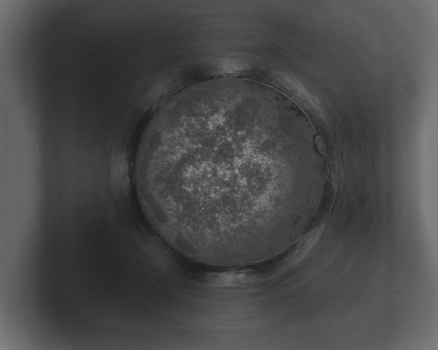 X0000103160366200808291455