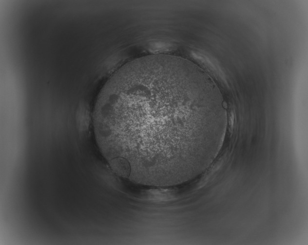 X0000103160367200808291455