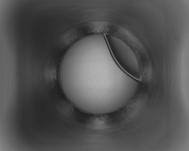 X0000103160368200808291455