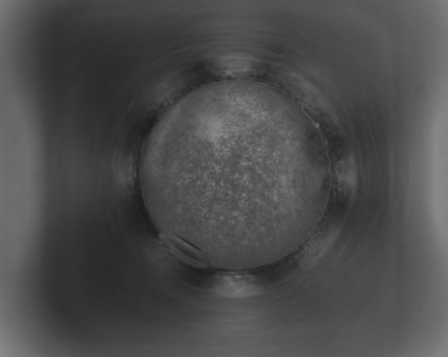 X0000103160372200808291455