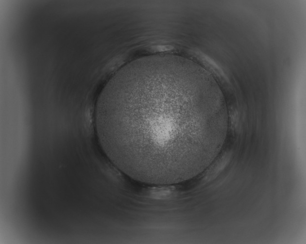 X0000103160373200808291455