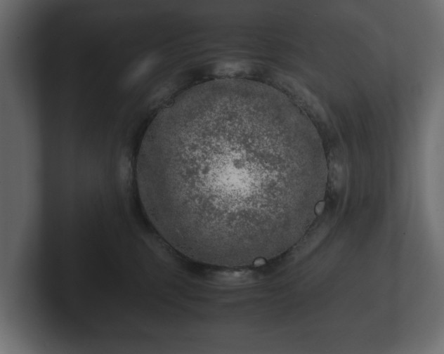 X0000103160375200808291455