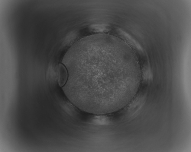 X0000103160376200808291455