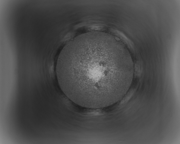 X0000103160377200808291455