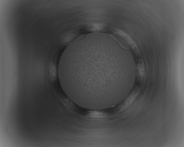 X0000103160380200808291455