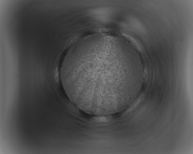 X0000103160381200808291455