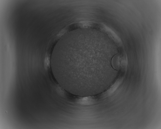 X0000103160382200808291455