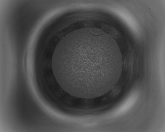 X0000103160383200808291455