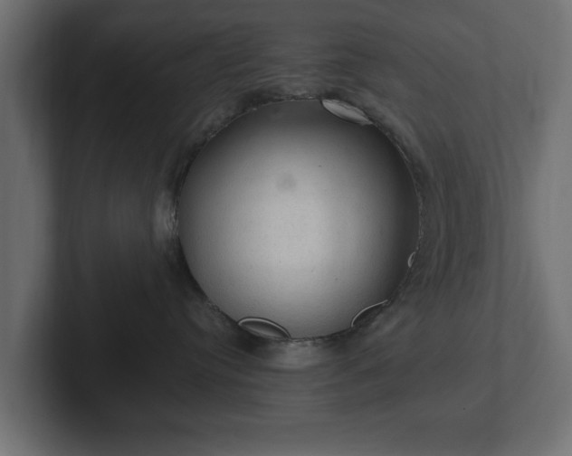 X0000103160384200808291455
