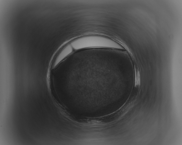 X0000103160387200808291454