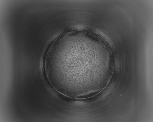 X0000103160394200808291454
