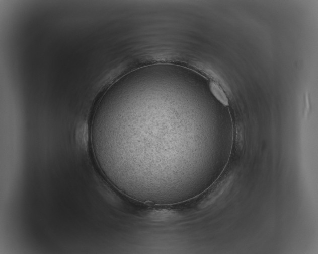 X0000103160397200808291454