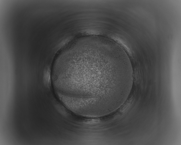 X0000103160398200808291454