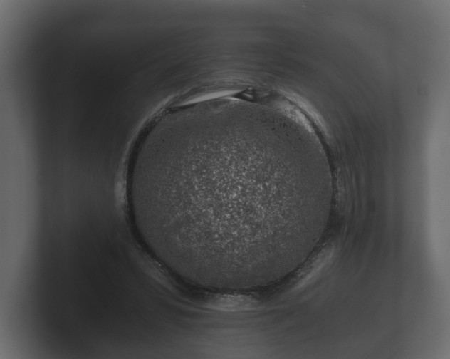 X0000103160399200808291454