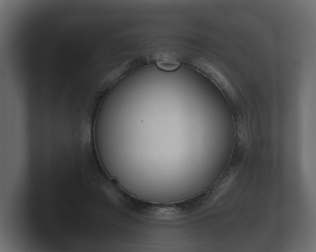 X0000103160401200808291454