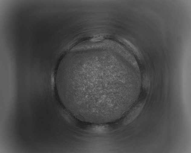 X0000103160405200808291454