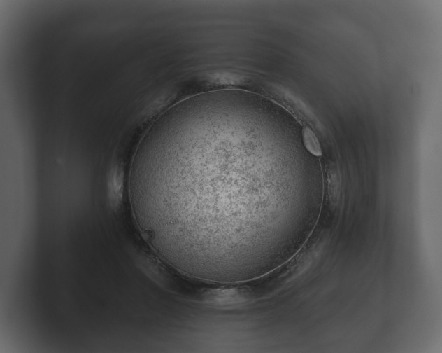 X0000103160406200808291454