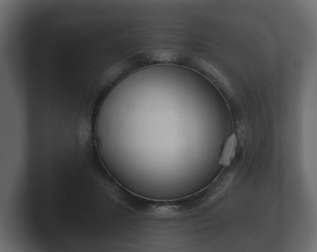 X0000103160407200808291454