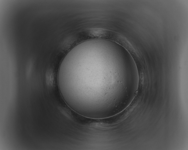 X0000103160408200808291454