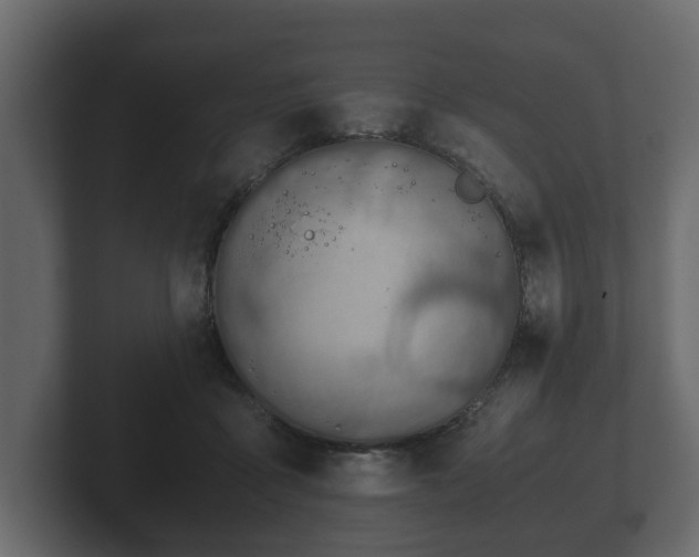 X0000103160411200808291454