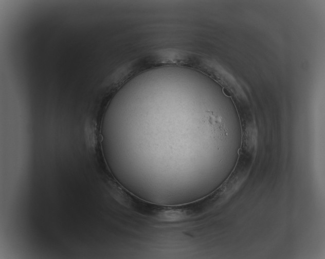 X0000103160413200808291454