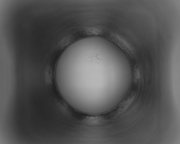 X0000103160414200808291454