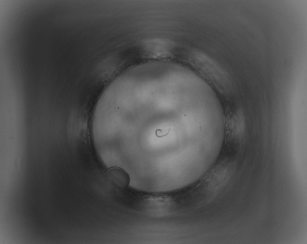 X0000103160415200808291454