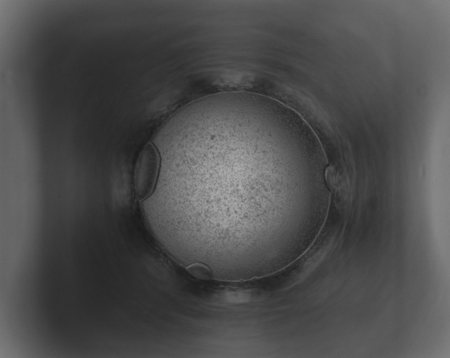 X0000103160416200808291454