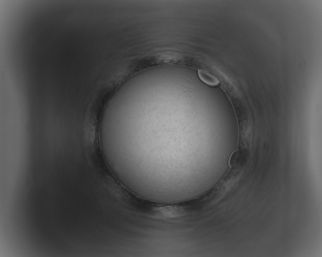 X0000103160417200808291454