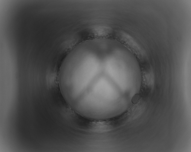 X0000103160419200808291454