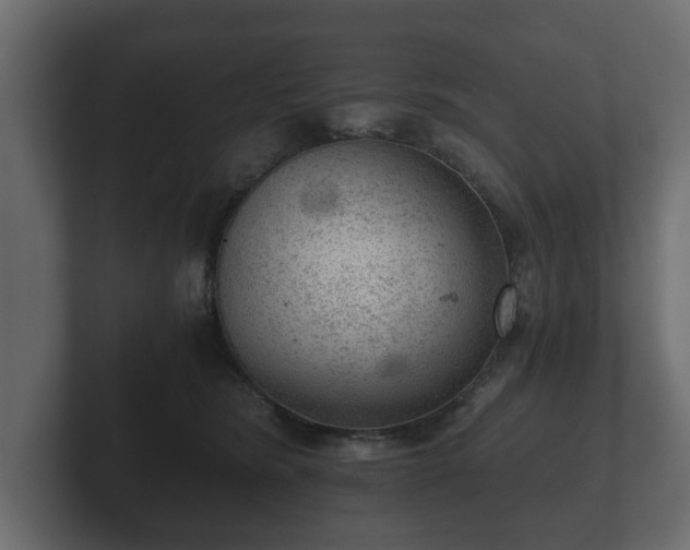 X0000103160420200808291454