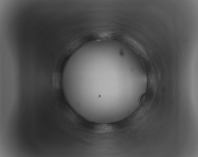 X0000103160421200808291454