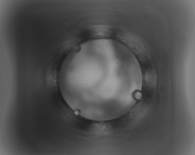 X0000103160423200808291454