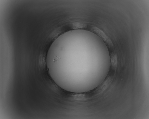 X0000103160426200808291454