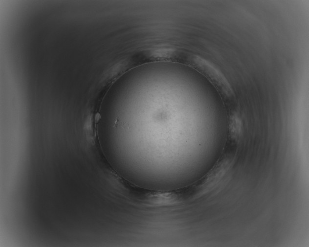 X0000103160428200808291454