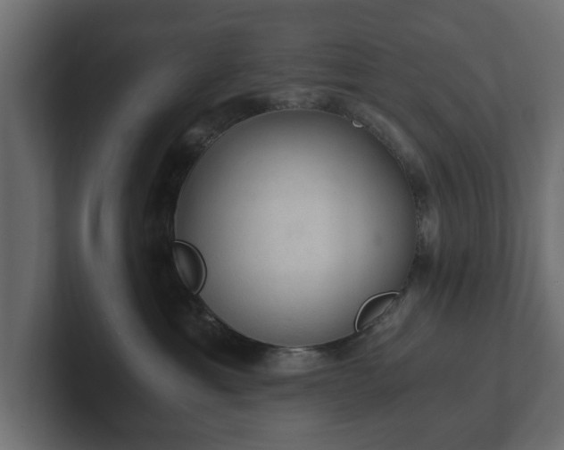 X0000103160429200808291454