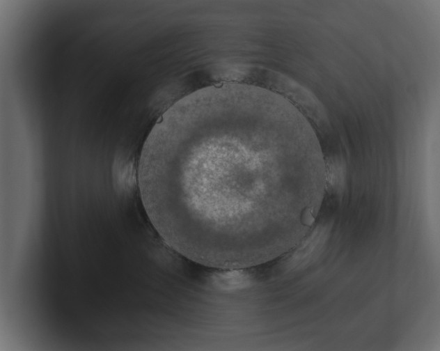 X0000103160431200808291454