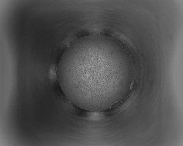 X0000103160432200808291454