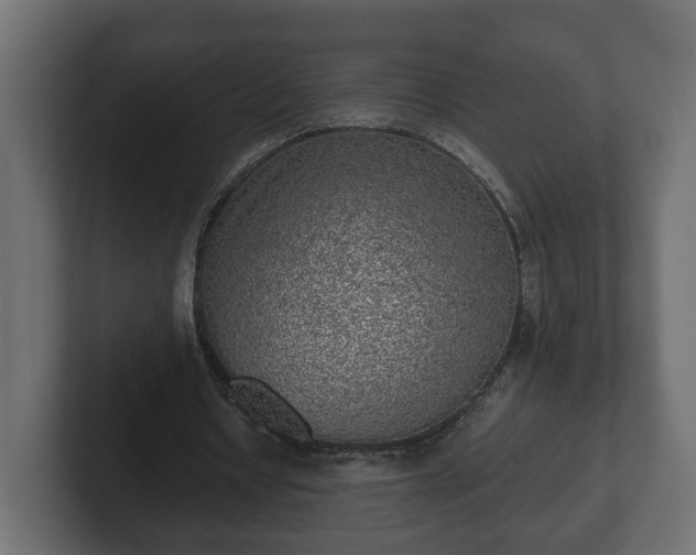 X0000103160434200808291453