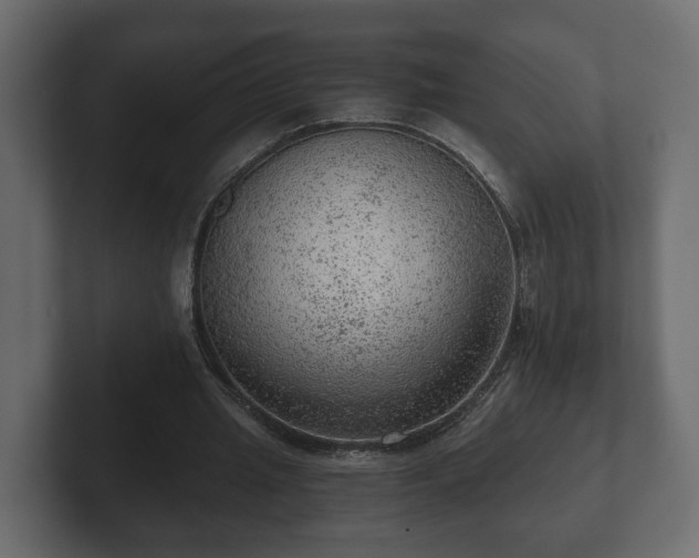 X0000103160437200808291453