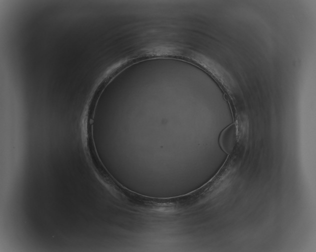 X0000103160438200808291453