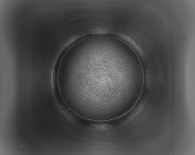 X0000103160439200808291453