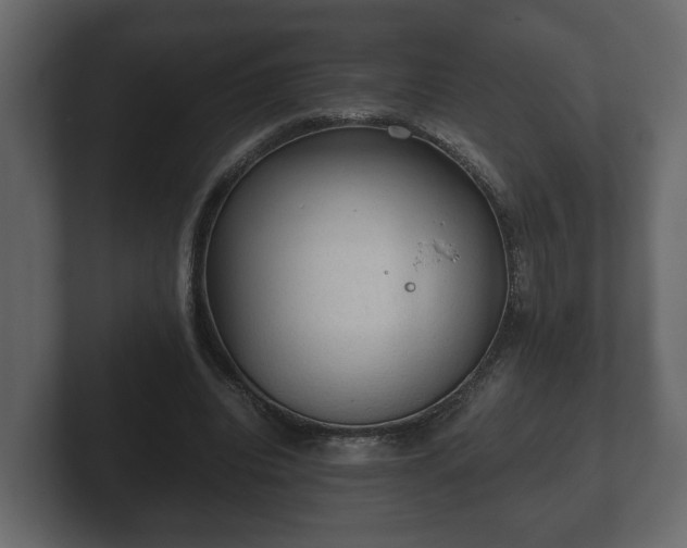 X0000103160440200808291453