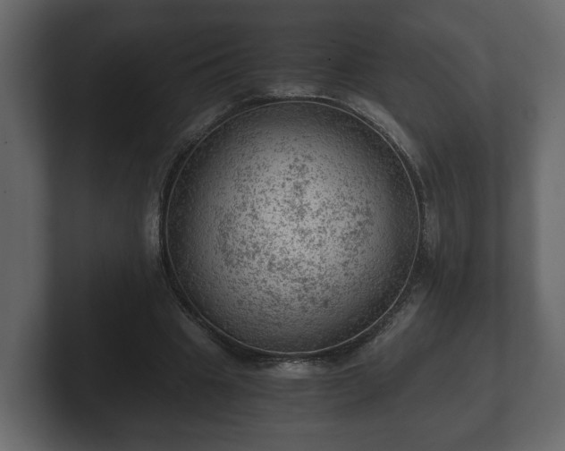 X0000103160441200808291453